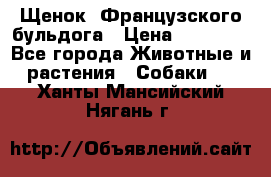 Щенок  Французского бульдога › Цена ­ 35 000 - Все города Животные и растения » Собаки   . Ханты-Мансийский,Нягань г.